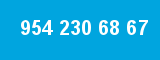 954 230 68 67